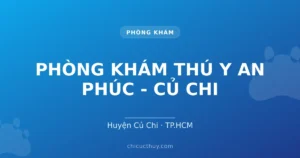 PHÒNG KHÁM THÚ Y AN PHÚC - CỦ CHI