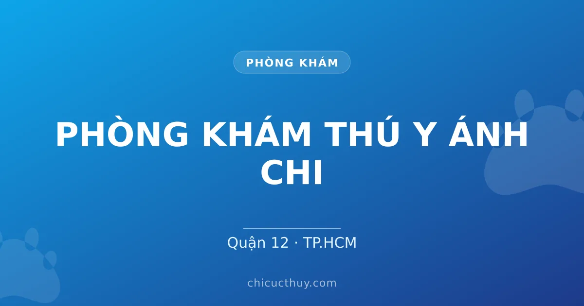 PHÒNG KHÁM THÚ Y ÁNH CHI