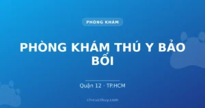 PHÒNG KHÁM THÚ Y BẢO BỐI