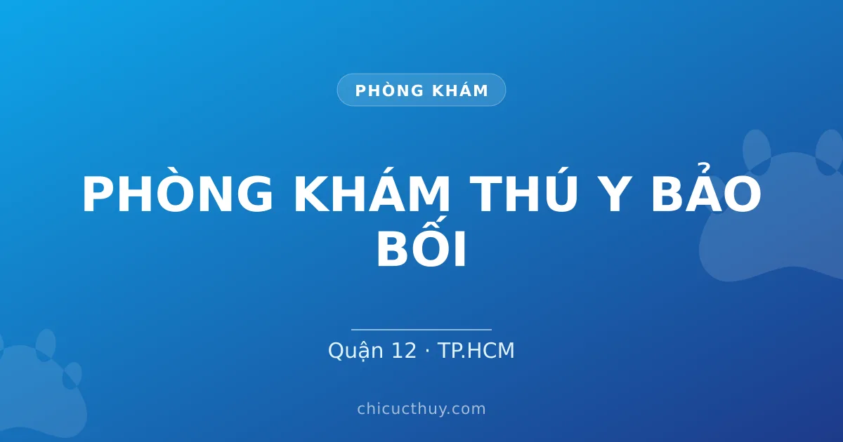 PHÒNG KHÁM THÚ Y BẢO BỐI