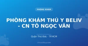 PHÒNG KHÁM THÚ Y BELIV - CN TÔ NGỌC VÂN