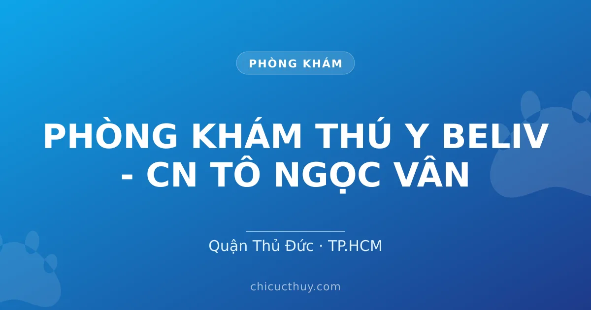 PHÒNG KHÁM THÚ Y BELIV - CN TÔ NGỌC VÂN