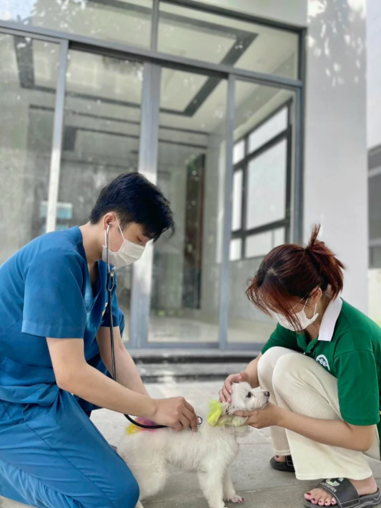 PHÒNG KHÁM THÚ Y BS NGÂN