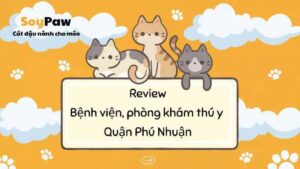 PHÒNG KHÁM THÚ Y - BS NGÔ DIỆU HẠNH