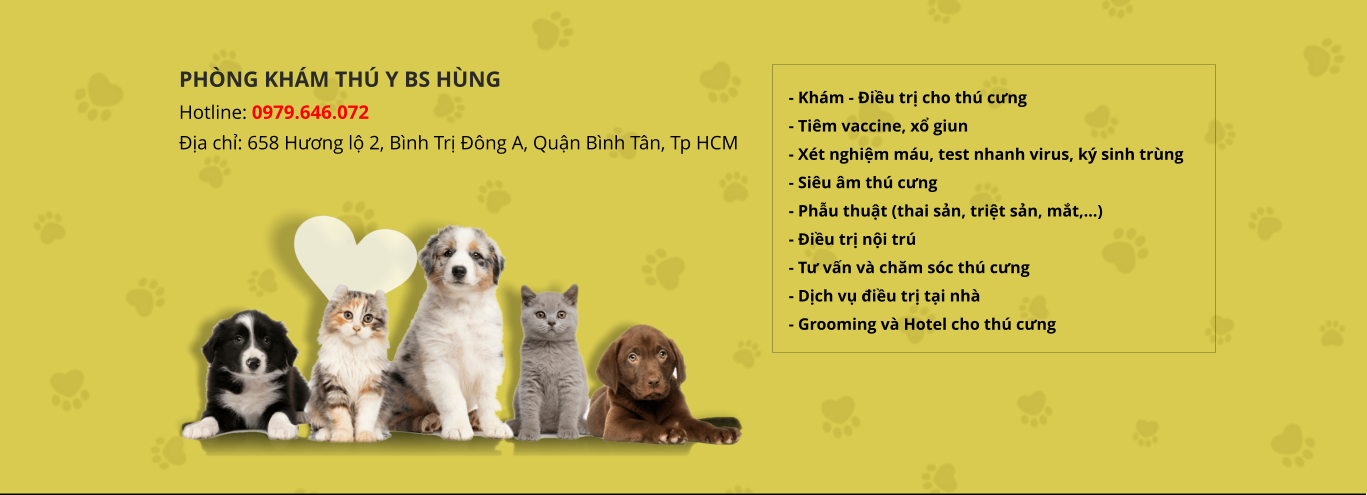 PHÒNG KHÁM THÚ Y HÙNG