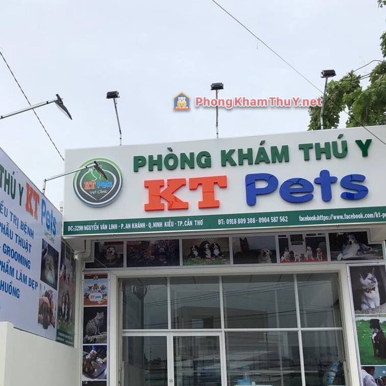 PHÒNG KHÁM THÚ Y K-T