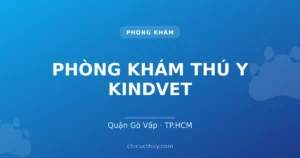 PHÒNG KHÁM THÚ Y KINDVET