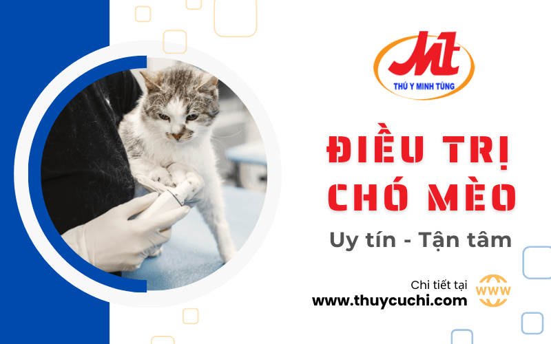 PHÒNG KHÁM THÚ Y MINH TÙNG