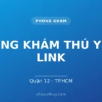 PHÒNG KHÁM THÚ Y PET LINK