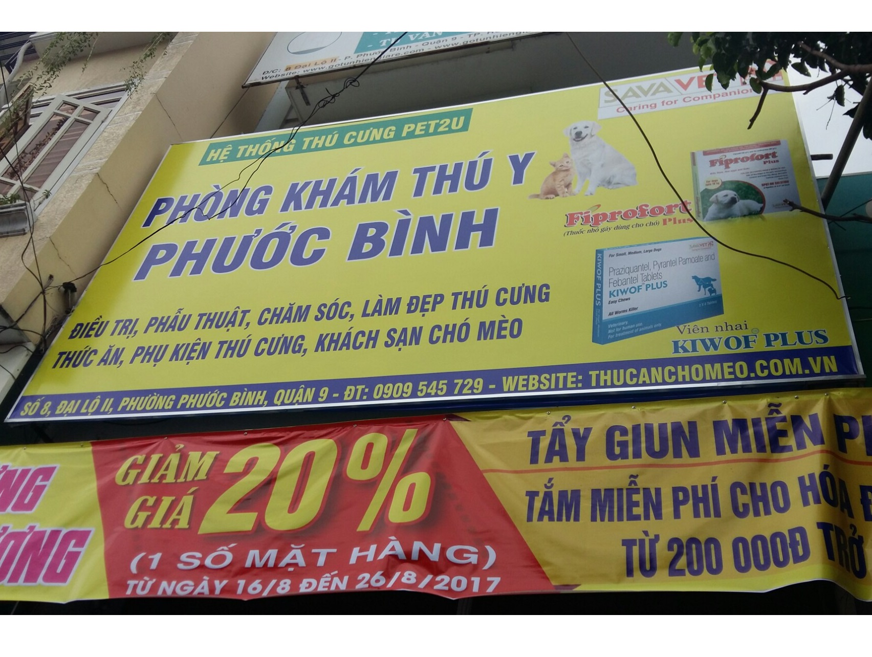 phòng khám thú y phước bình