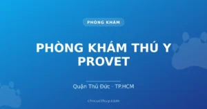 PHÒNG KHÁM THÚ Y PROVET
