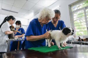 PHÒNG KHÁM THÚ Y VIỆT KHUYẾN
