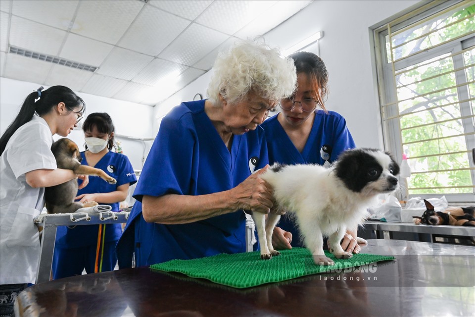 PHÒNG KHÁM THÚ Y VIỆT KHUYẾN