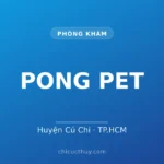 PONG PET