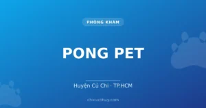 PONG PET