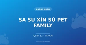 SA SU XÌN SÚ PET FAMILY