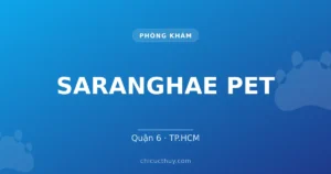 SARANGHAE PET