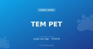 TEM PET