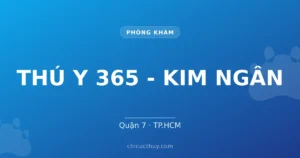 THÚ Y 365 - KIM NGÂN