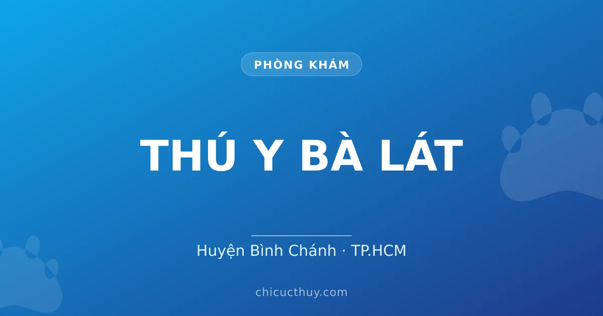 THÚ Y BÀ LÁT