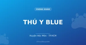 THÚ Y BLUE