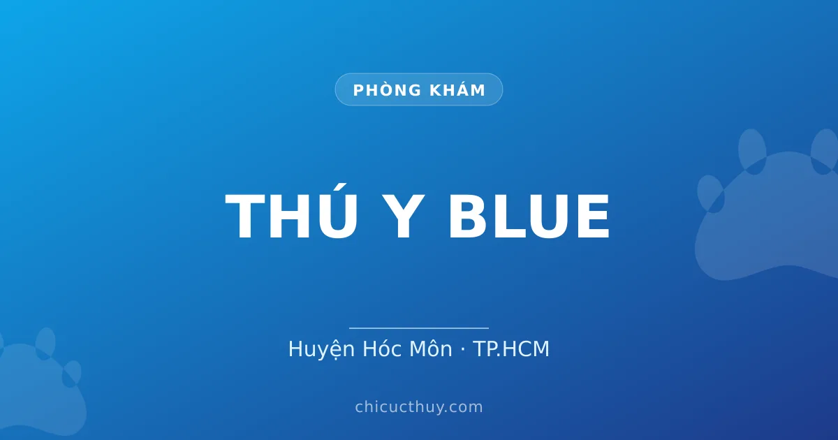 THÚ Y BLUE