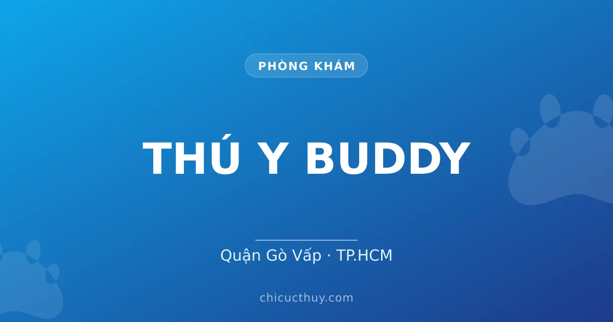 THÚ Y BUDDY
