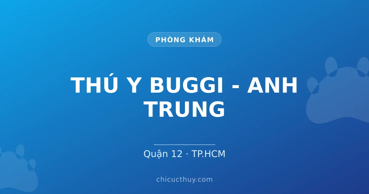 THÚ Y BUGGI - ANH TRUNG