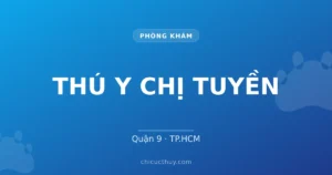 THÚ Y CHỊ TUYỀN