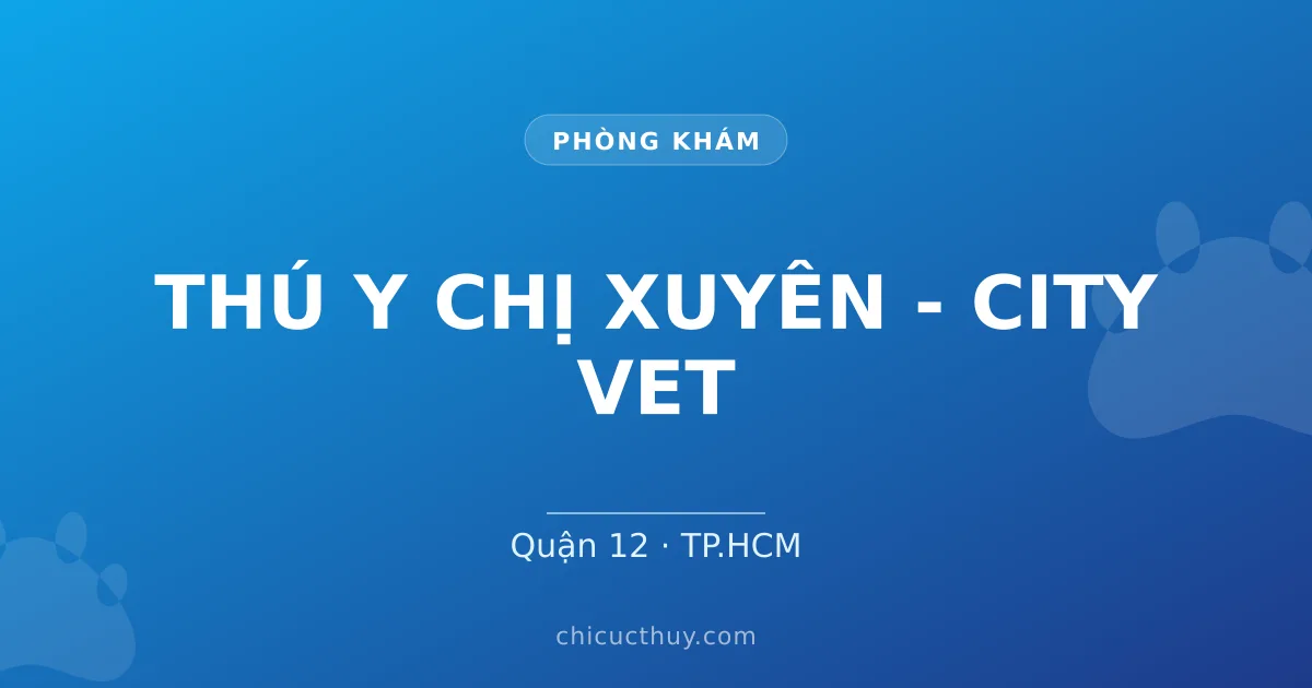 THÚ Y CHỊ XUYÊN - CITY VET