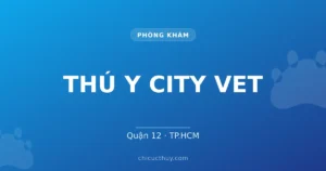 THÚ Y CITY VET
