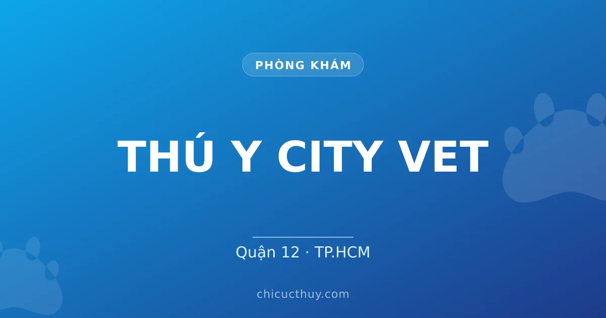 THÚ Y CITY VET