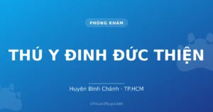 THÚ Y ĐINH ĐỨC THIỆN