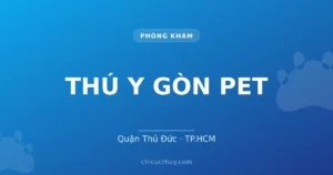 THÚ Y GÒN PET
