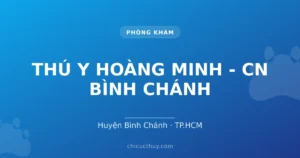 THÚ Y HOÀNG MINH - CN BÌNH CHÁNH