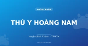 THÚ Y HOÀNG NAM