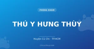 THÚ Y HƯNG THÙY