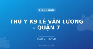THÚ Y K9 LÊ VĂN LƯƠNG - QUẬN 7