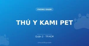 THÚ Y KAMI PET