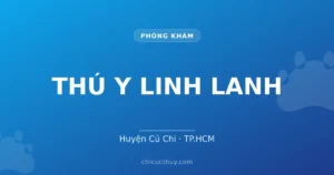 THÚ Y LINH LANH