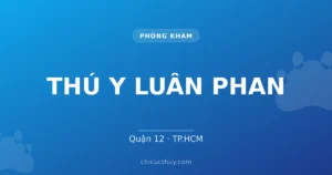 THÚ Y LUÂN PHAN