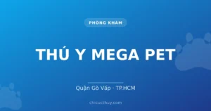 THÚ Y MEGA PET