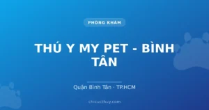 THÚ Y MY PET - BÌNH TÂN
