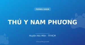 THÚ Y NAM PHƯƠNG