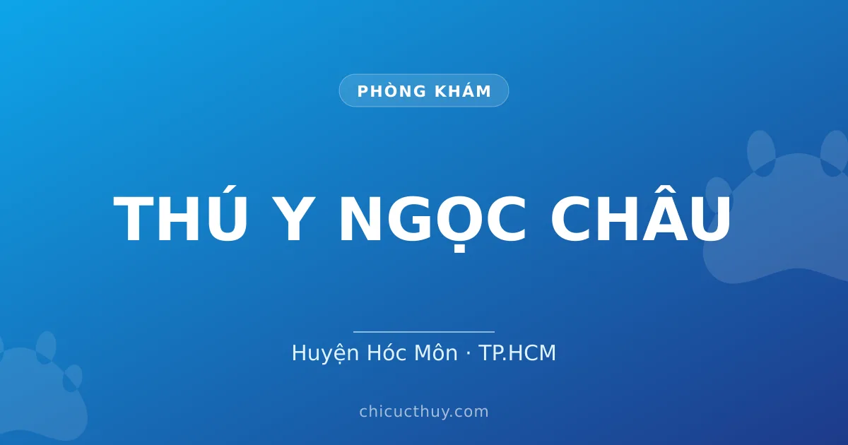 THÚ Y NGỌC CHÂU