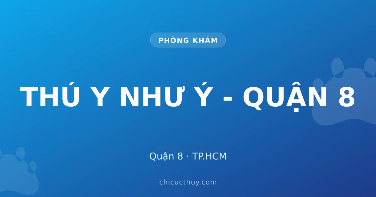 THÚ Y NHƯ Ý - QUẬN 8