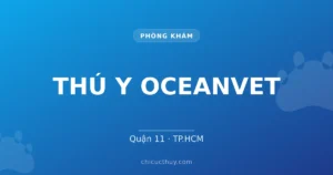 THÚ Y OCEANVET