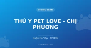 THÚ Y PET LOVE - CHỊ PHƯƠNG