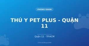 THÚ Y PET PLUS - QUẬN 11