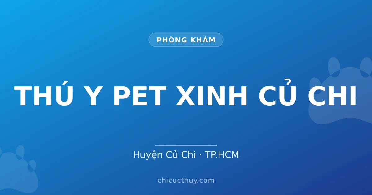 THÚ Y PET XINH CỦ CHI